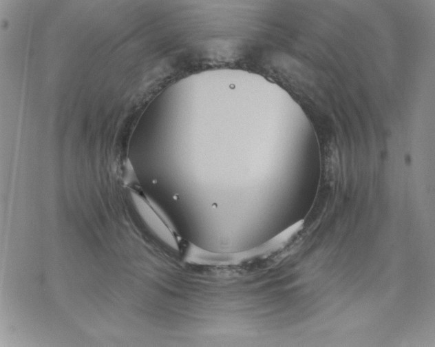 X0000071330608200607141907