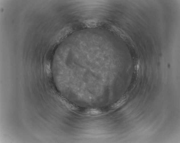 X0000071330610200607141907