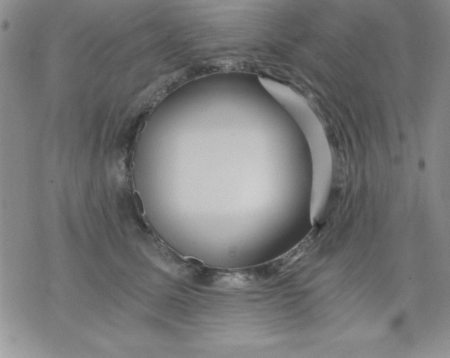 X0000071330611200607141907