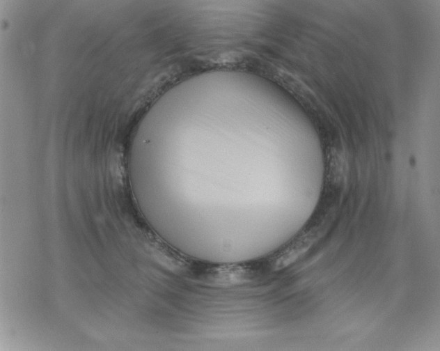 X0000071330612200607141907