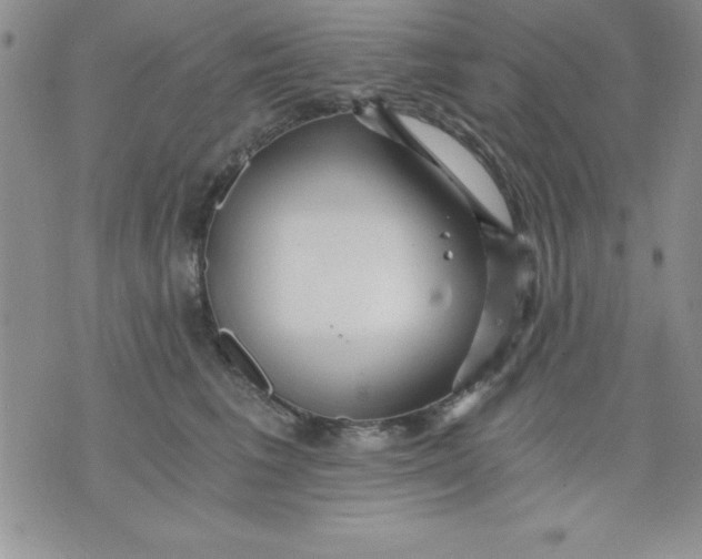 X0000071330613200607141907