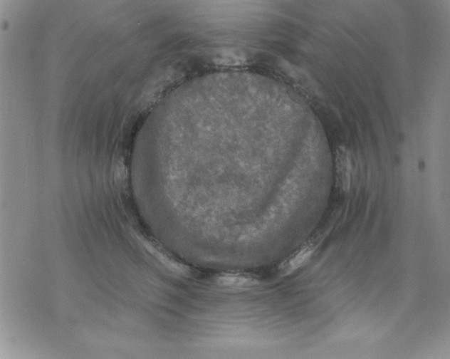 X0000071330614200607141907