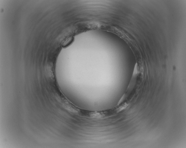 X0000071330616200607141907