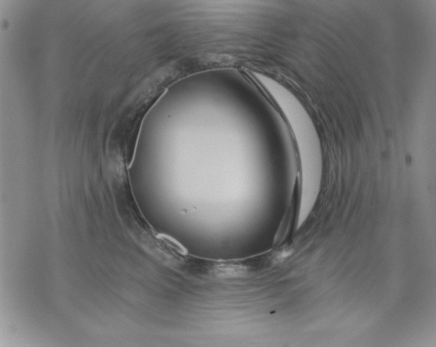 X0000071330617200607141907