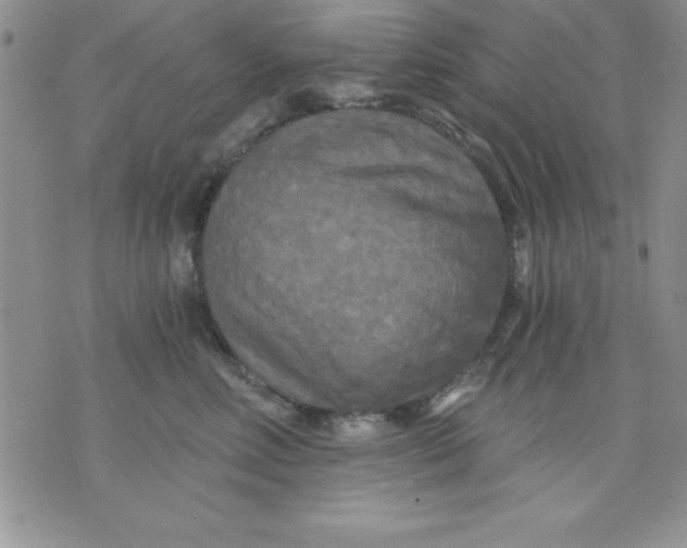 X0000071330618200607141907