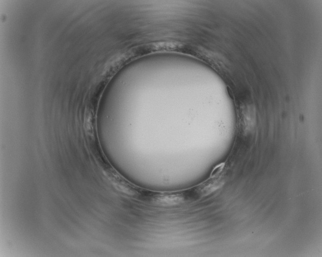 X0000071330619200607141907