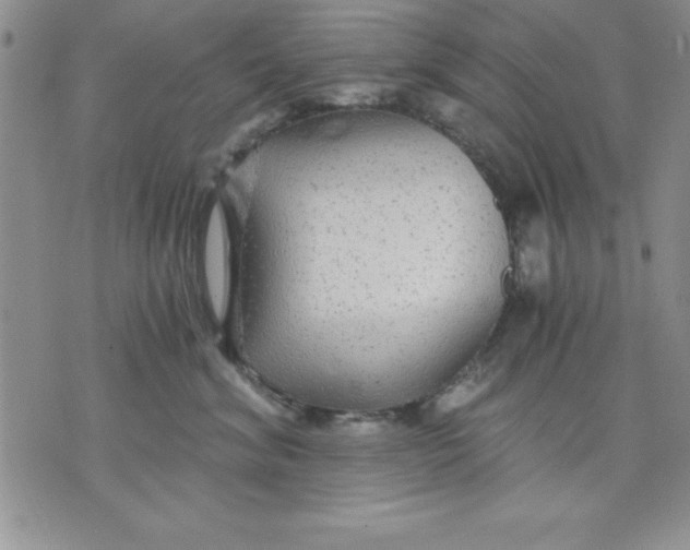 X0000071330620200607141907