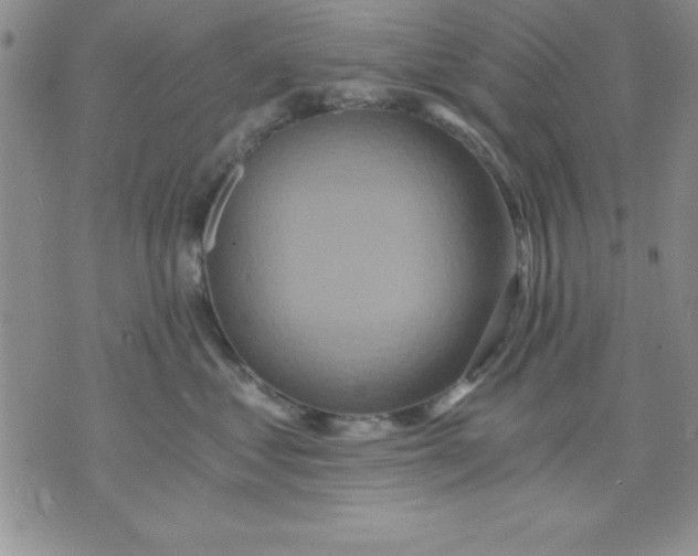 X0000071330621200607141907