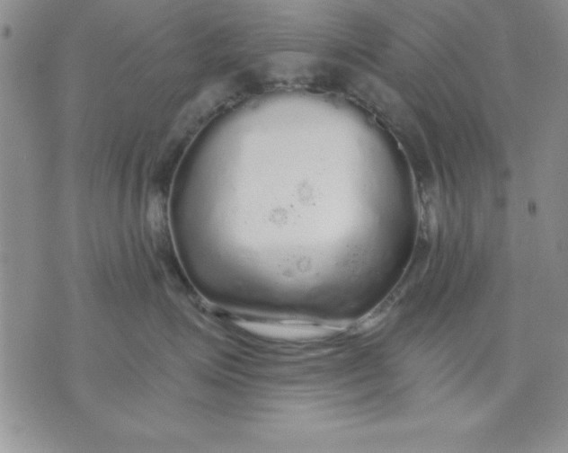 X0000071330623200607141907