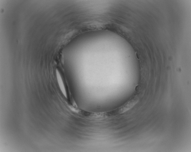 X0000071330624200607141907