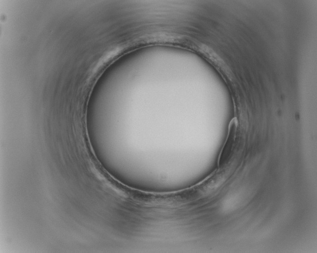 X0000071330625200607141906