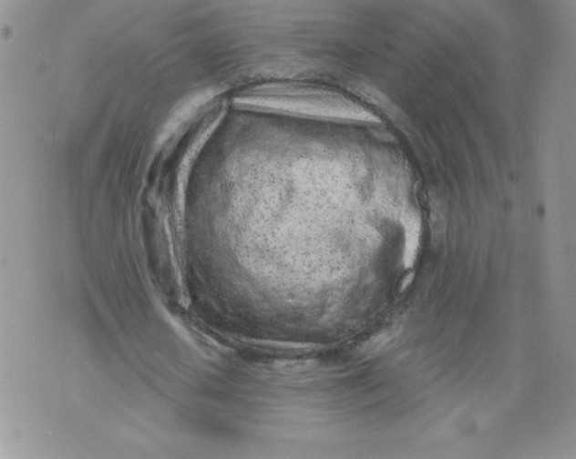 X0000071330626200607141906