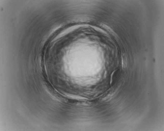 X0000071330627200607141906