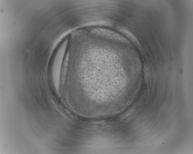 X0000071330628200607141906