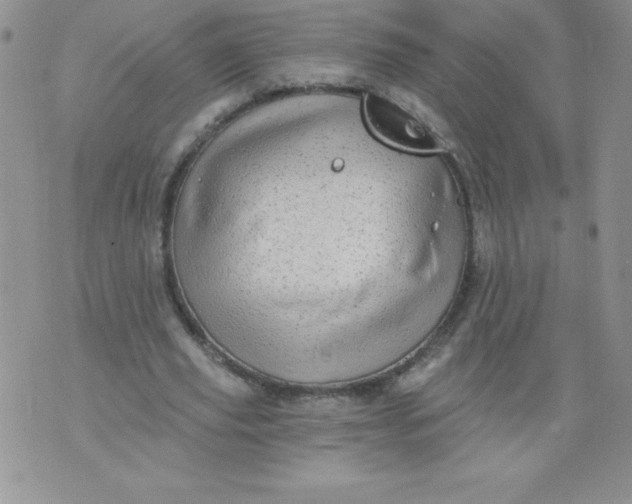 X0000071330629200607141906