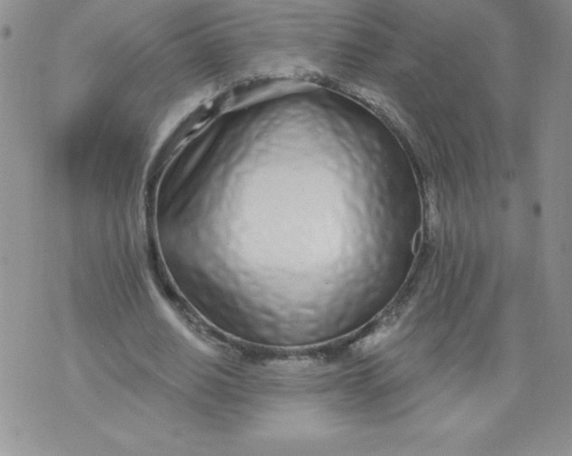 X0000071330630200607141906