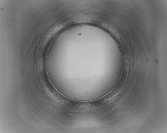 X0000071330631200607141906