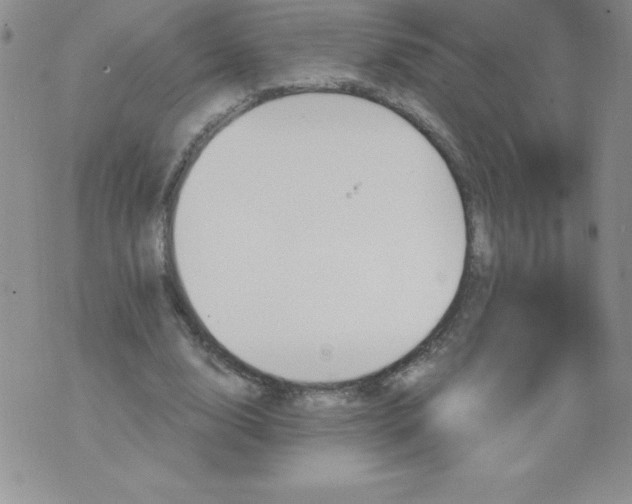 X0000071330632200607141906