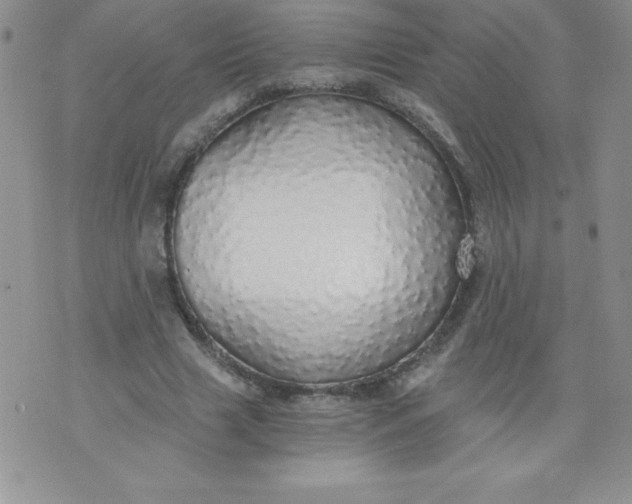 X0000071330633200607141906