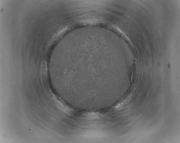 X0000071330637200607141906