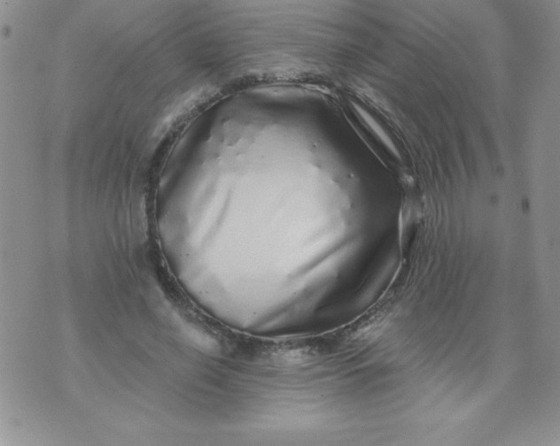 X0000071330638200607141906