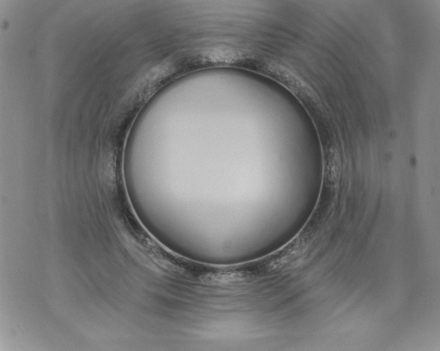 X0000071330639200607141906