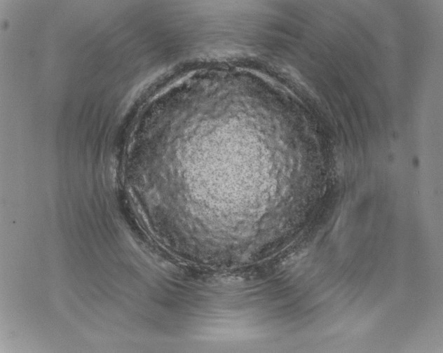 X0000071330640200607141906