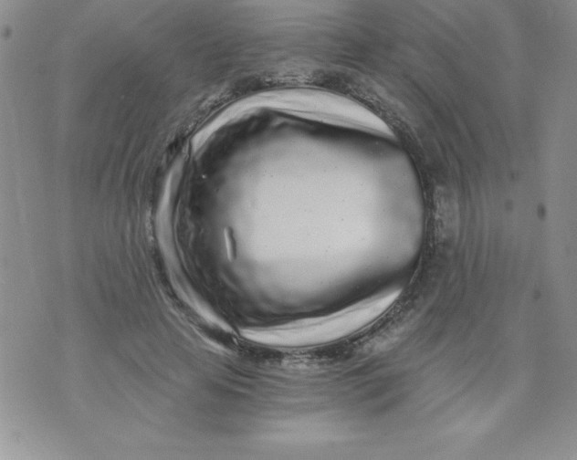 X0000071330641200607141906