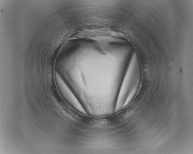 X0000071330642200607141906