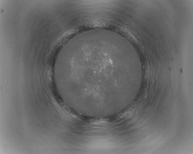 X0000071330643200607141906