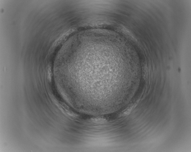 X0000071330644200607141906