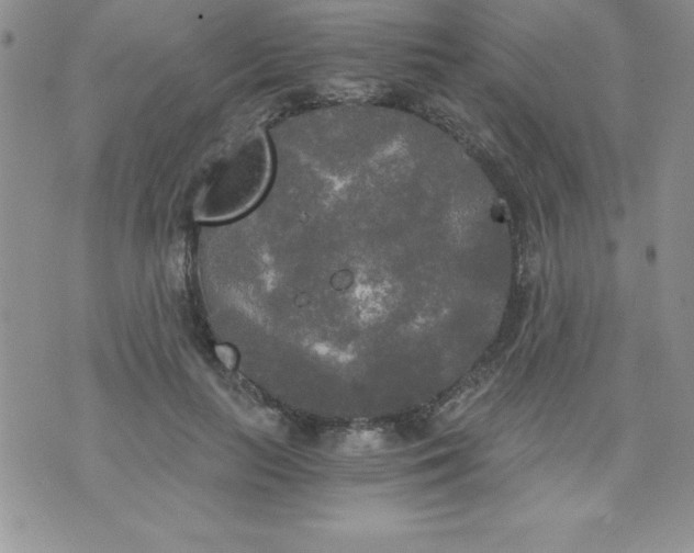 X0000071330647200607141906