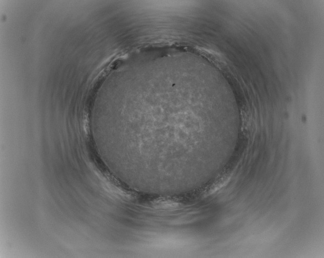 X0000071330648200607141906