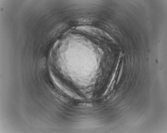 X0000071330649200607141906