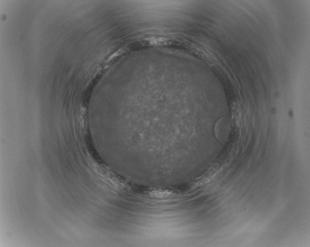 X0000071330650200607141907