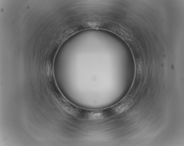 X0000071330651200607141907