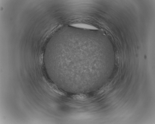 X0000071330652200607141907