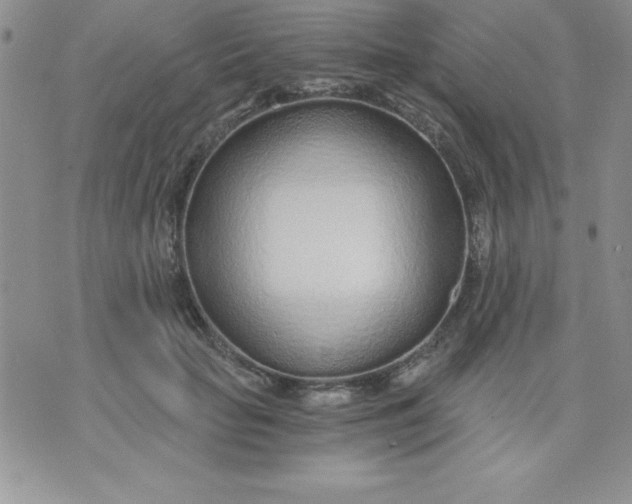 X0000071330653200607141907