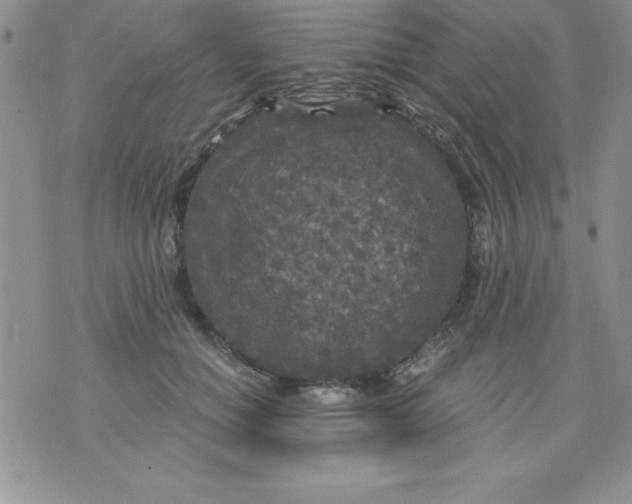 X0000071330654200607141907