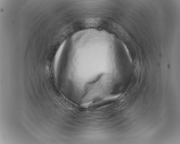 X0000071330655200607141907