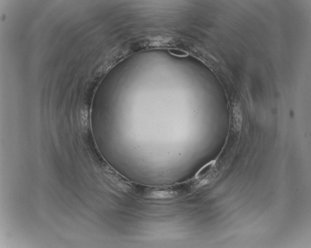 X0000071330657200607141907