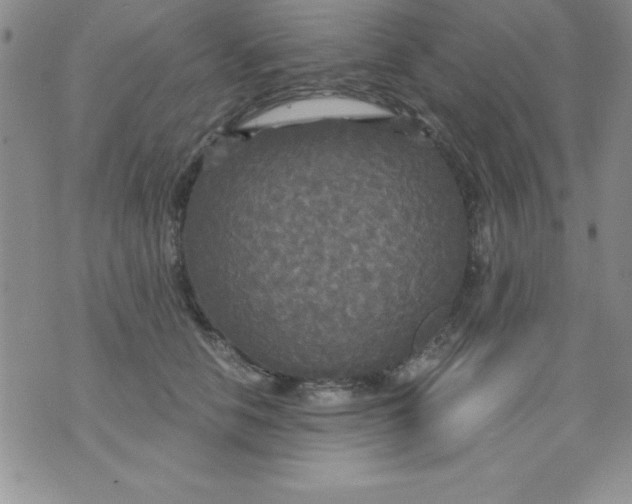 X0000071330658200607141907