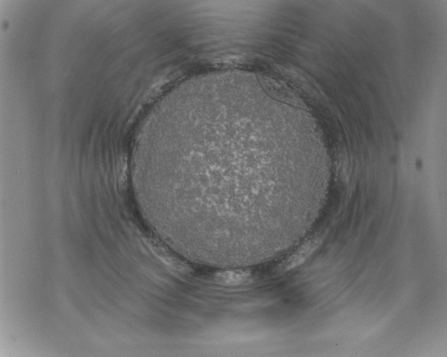 X0000071330660200607141907