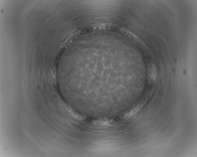 X0000071330661200607141907