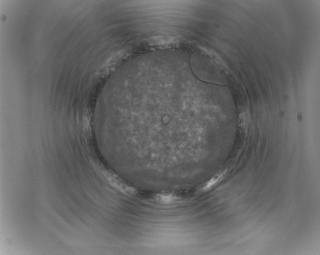 X0000071330662200607141907