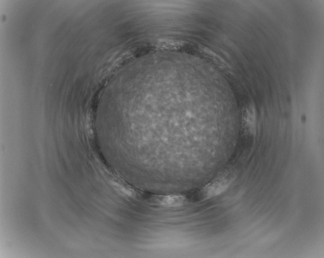 X0000071330663200607141907