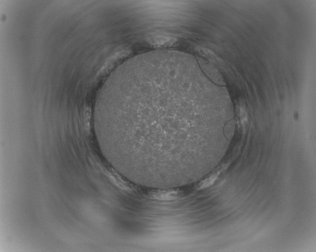 X0000071330664200607141907