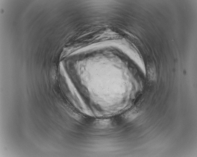 X0000071330665200607141907