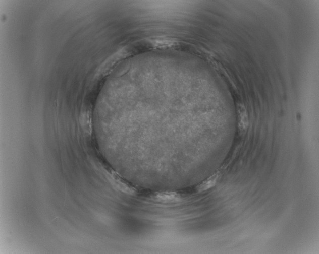 X0000071330666200607141907