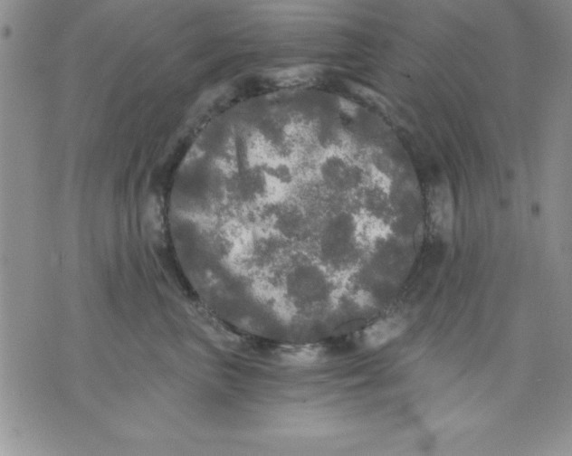 X0000071330667200607141907